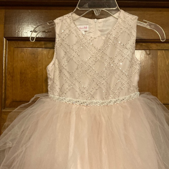 Like New Size 5 Blush Beaded Tulle Flower Girl / Special Occasion Dress - Picture 4 of 11